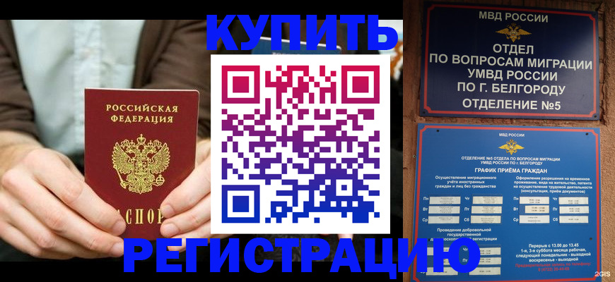 прописка 2025 в Сафоново